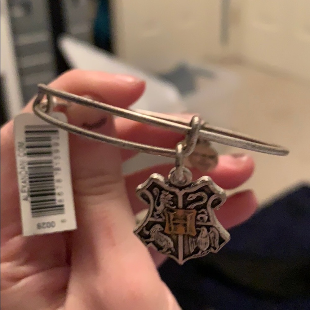 Hogwarts alex and ani Harry Potter sliver